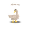 Cute funny goose