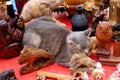 Cute funny gray cat sleeping among antique decor objects