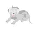 Cute funny gray spotted puppy dog lying on a white background. Vector image in cartoon flat style. Decor for children's Royalty Free Stock Photo