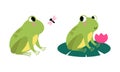 Cute funny green baby frogs set cartoon vector illustration Royalty Free Stock Photo