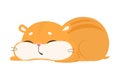 Cute Funny Hamster Sleeping, Adorable Pet Animal Cartoon Vector Illustration