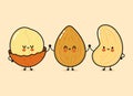 Cute, funny happy almonds, Macadamia and cashews nut. Vector hand drawn cartoon kawaii characters, illustration icon