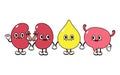 Cute, funny happy drop of urine bladder and kidneys character. Vector hand drawn cartoon kawaii characters, illustration