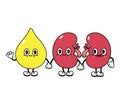 Cute, funny happy drop of urine and kidneys character. Vector hand drawn cartoon kawaii characters, illustration icon
