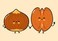 Cute, funny happy hazelnut and pecan character. Vector hand drawn cartoon kawaii characters, illustration icon. Funny