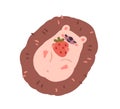 Cute funny hedgehog lying with berry. Happy smiling forest animal relaxing with food, strawberry. Adorable kawaii