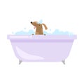 Cute funny home dog is taking bath in bathtub Royalty Free Stock Photo