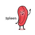 Cute and funny human spleen character