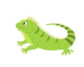 Cute funny iguana on a white background. Vector image in cartoon flat style. Decor for children's posters, postcards Royalty Free Stock Photo