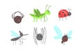 Cute Funny Insects Set, Ladybug, Spider, Grasshopper, Mosquito, Fly Cartoon Vector Illustration Royalty Free Stock Photo