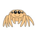 Cute funny jumping spider Halloween cartoon character illustration. Royalty Free Stock Photo