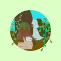 Cute funny koala peeping out of basket. Jungle animal character in nature landscape with mountaine