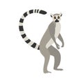 Cute funny lemur on an isolated white background.