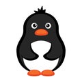 Cute funny little cartoon baby penguin winter bird flat vector Royalty Free Stock Photo