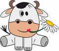 Cute and funny little cow Royalty Free Stock Photo