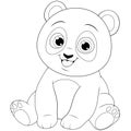 Cute funny little panda baby sitting smiling on a white background