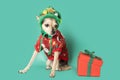 Cute funny little toy terrier in a hat christmas tree looks at the gift box Royalty Free Stock Photo