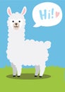 Cute funny llama cartoon. Lama vector drawing on a bright background saying hi, simple funny vector animal illustration.