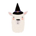 Cute funny llama in witch hat, Halloween costume character illustration. Royalty Free Stock Photo