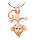 Cute funny monkey colorful cartoon illustration. Vector little chimpanzee. Wildlife character Royalty Free Stock Photo