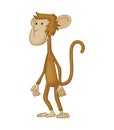 Cute funny monkey colorful cartoon illustration. Vector little chimpanzee. Wildlife character. Ape stands and thinking Royalty Free Stock Photo