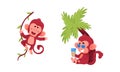Cute funny monkeys actions set. Little baby animals hanging on vine and relaxing under palm tree vector illustration Royalty Free Stock Photo
