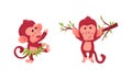 Cute funny monkeys actions set. Little baby animals having fun and hanging on tree branch vector illustration