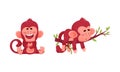 Cute funny monkeys actions set. Little baby animals laughing and sleeping on tree branch vector illustration