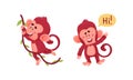 Cute funny monkeys actions set. Little baby animals swinging on vine and saying Hi vector illustration Royalty Free Stock Photo