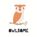 Cute funny owl character, text Owlsome, isolated