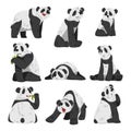 Cute Funny Panda Bear, Adorable Wild Animals in Various Poses Cartoon Style Vector Illustration on White Background Royalty Free Stock Photo