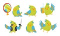 Cute Funny Parrot Cartoon Character Collection, Adorable Bird in Different Situations Vector Illustration