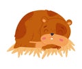 Cute funny pet hamster sleeping on straw cartoon vector illustration