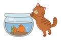 Cute funny pets cartoon