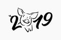 Cute funny pig. Happy New Year. Chinese symbol of the 2019 year. Excellent festive gift card. Vector illustration Royalty Free Stock Photo