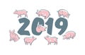 Cute funny pig. Happy New Year. Chinese symbol of the 2019 year. Excellent festive gift card. Vector illustration Royalty Free Stock Photo