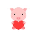 Cute funny pig with heart on white background. Cartoon animal character for congratulation with St. Valentine day, greeting card, Royalty Free Stock Photo