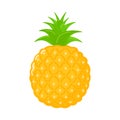 Cute funny pineapple character. Vector hand drawn cartoon kawaii character illustration icon. Isolated on white Royalty Free Stock Photo