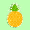 Cute funny pineapple sticker character. Vector hand drawn cartoon kawaii character illustration icon. Isolated on green Royalty Free Stock Photo