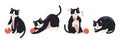 Cute funny playful black and white cat. Set of pet flat vector illustrations. Royalty Free Stock Photo