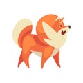 Cute Funny Pomeranian Spitz, Adorable Pet Dog Cartoon Character, Side View Vector Illustration