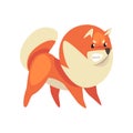 Cute Funny Pomeranian Spitz, Adorable Pet Dog Cartoon Character Vector Illustration