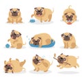 Cute funny pug dog set, dog in different poses and situations cartoon vector Illustrations Royalty Free Stock Photo