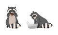 Cute funny raccoons set. Wild furry forest animal washing clothes in basin and eating cookie cartoon vector illustration