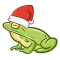 Cute and funny realistic frog wearing Santa`s hat for Christmas Royalty Free Stock Photo