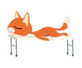 Cute Funny Red Cat Relaxing on Massage Table Vector illustration