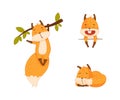 Cute funny red squirrel in different actions set cartoon vector illustration Royalty Free Stock Photo