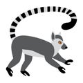 Cute funny ring-tailed lemur. Exotic Lemur catta. Vector illustration in flat and cartoon style Royalty Free Stock Photo