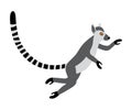 Cute funny ring-tailed lemur jumps. Exotic Lemur catta. Vector illustration in cartoon and flat style Royalty Free Stock Photo