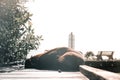 cute funny seal lying calm and relaxed on the wooden walkway intended for human walk next to the bench on a sunny day